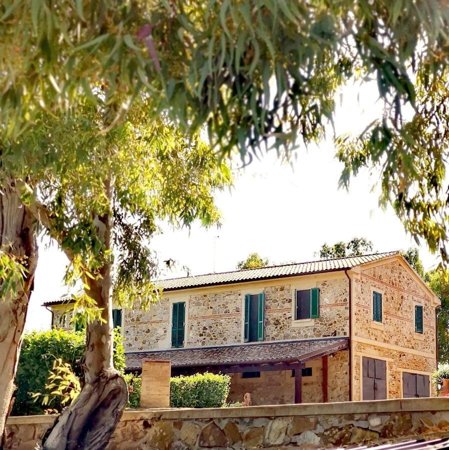 Fattoria Tolomei Campagnatico Eksteriør bilde