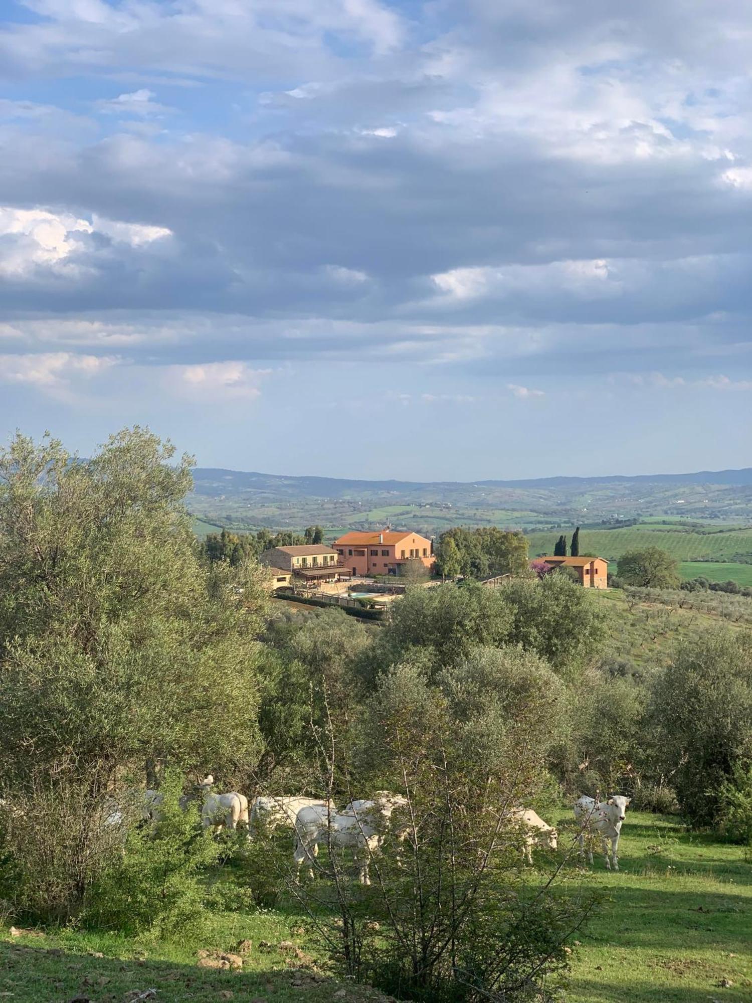 Fattoria Tolomei Campagnatico Eksteriør bilde