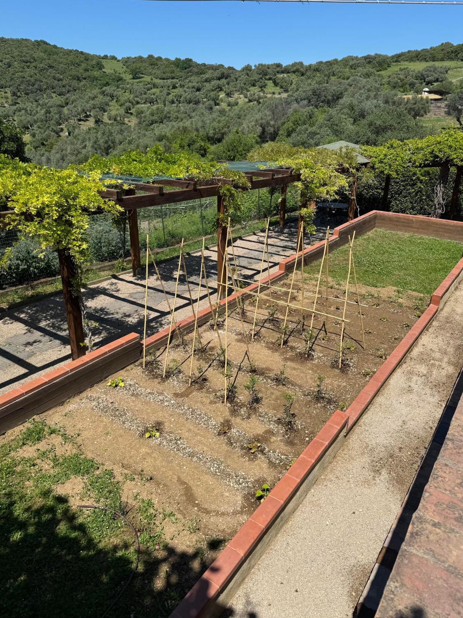 Fattoria Tolomei Campagnatico Eksteriør bilde
